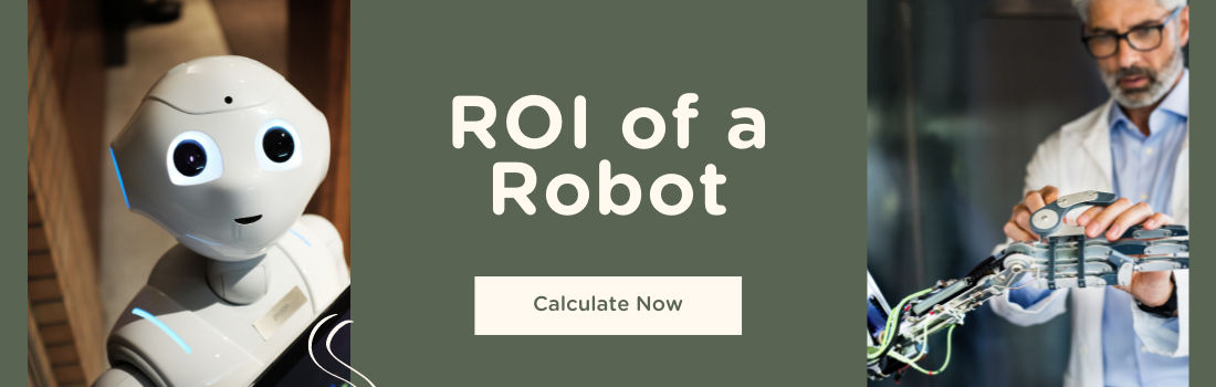 ROI of a Robot